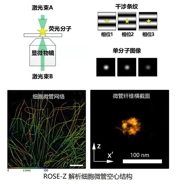 黄A无码片内射无码视频