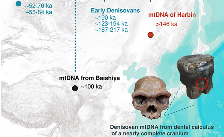黄A无码片内射无码视频-精品一品国产午夜福利视频-美女MM131爽爽爽-在线观看视频一区-欧美午夜看片亚洲免费古脊椎所一项合作研究入选《科学》2025年度十大科学突破