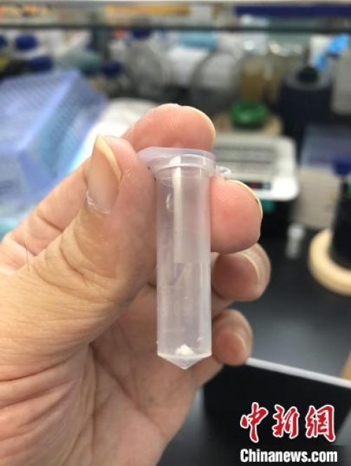 黄A无码片内射无码视频