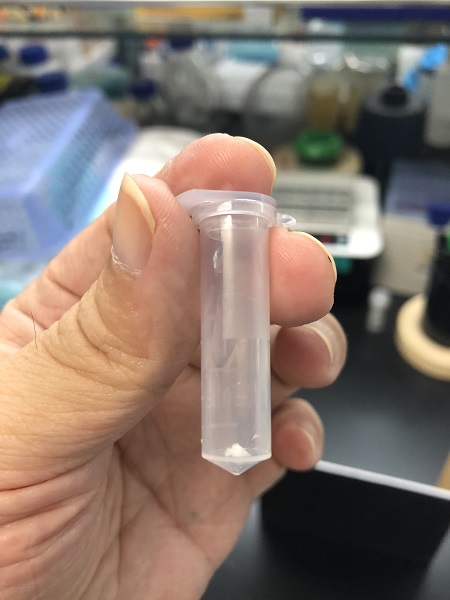 黄A无码片内射无码视频