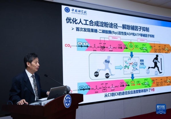 黄A无码片内射无码视频