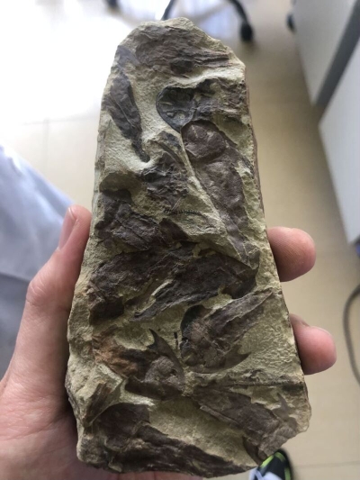 黄A无码片内射无码视频