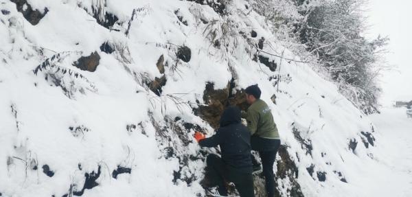 黄A无码片内射无码视频