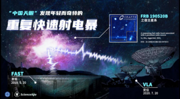 黄A无码片内射无码视频