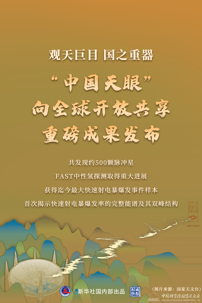 黄A无码片内射无码视频