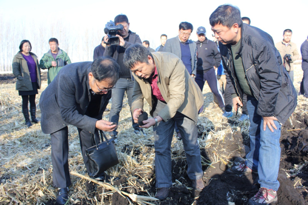 黄A无码片内射无码视频