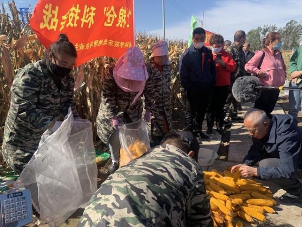 黄A无码片内射无码视频