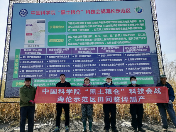 黄A无码片内射无码视频