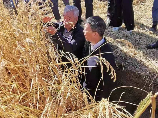 黄A无码片内射无码视频