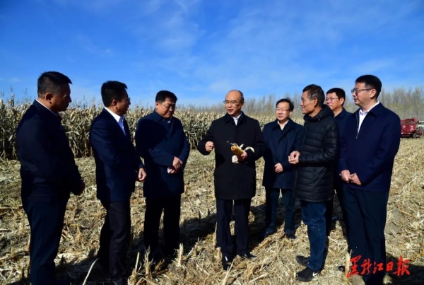 黄A无码片内射无码视频