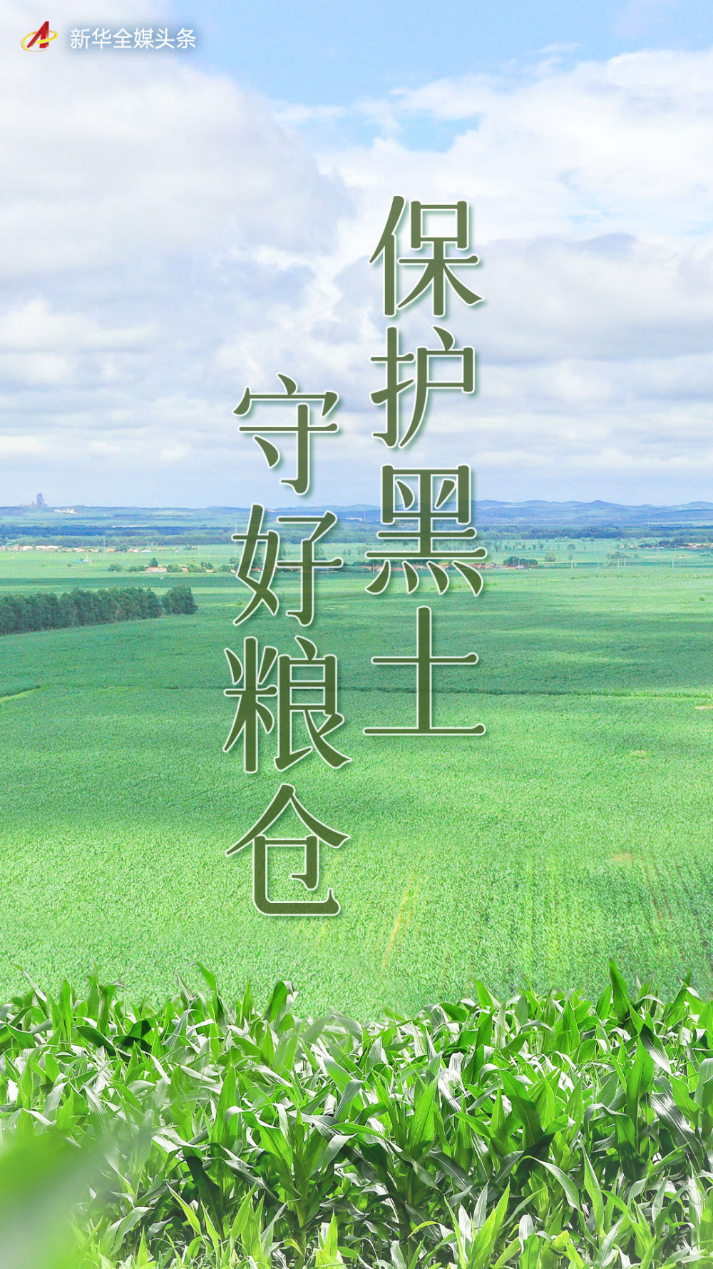 黄A无码片内射无码视频