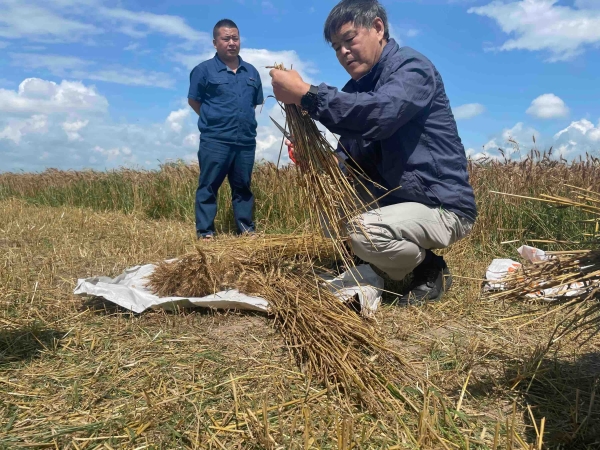 黄A无码片内射无码视频