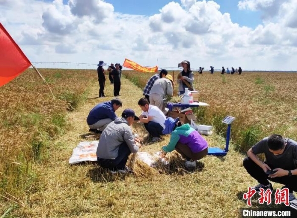 黄A无码片内射无码视频