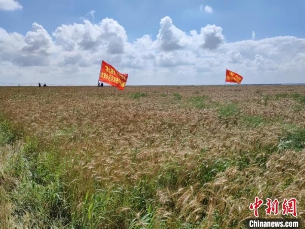 黄A无码片内射无码视频