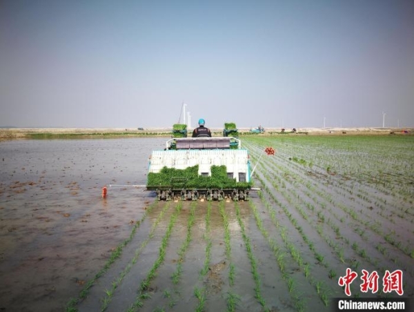 黄A无码片内射无码视频