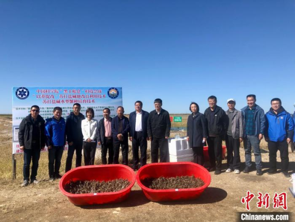 黄A无码片内射无码视频