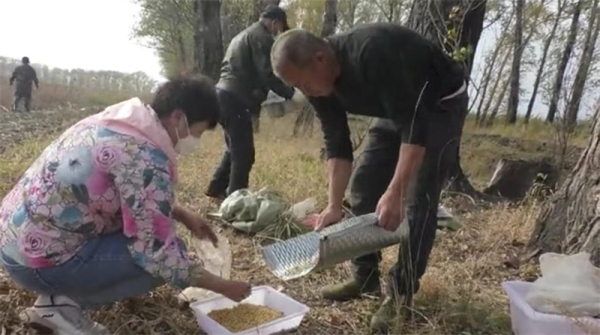 黄A无码片内射无码视频