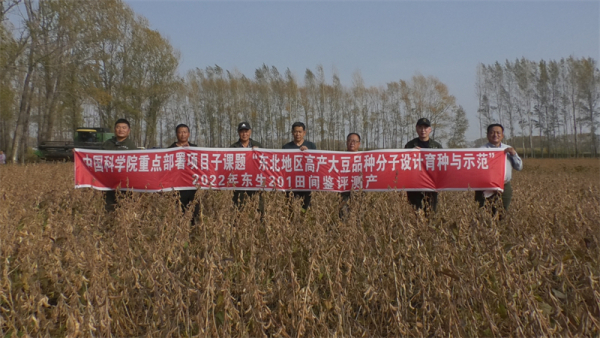 黄A无码片内射无码视频