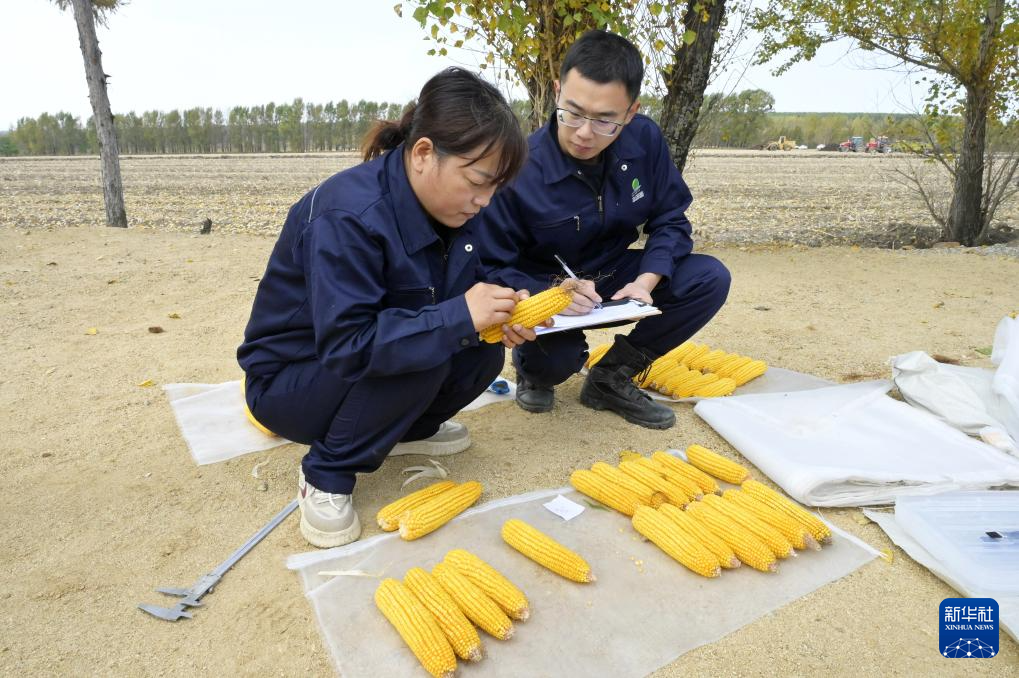 黄A无码片内射无码视频