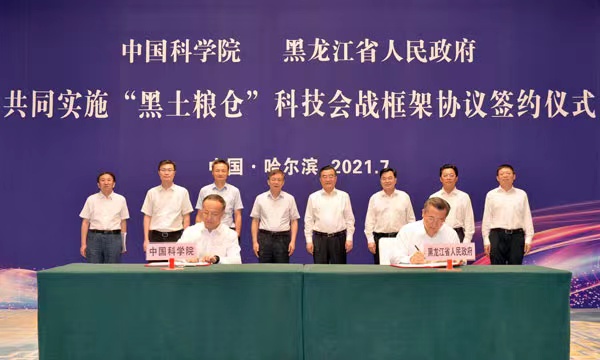 黄A无码片内射无码视频
