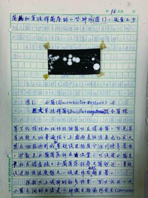 黄A无码片内射无码视频