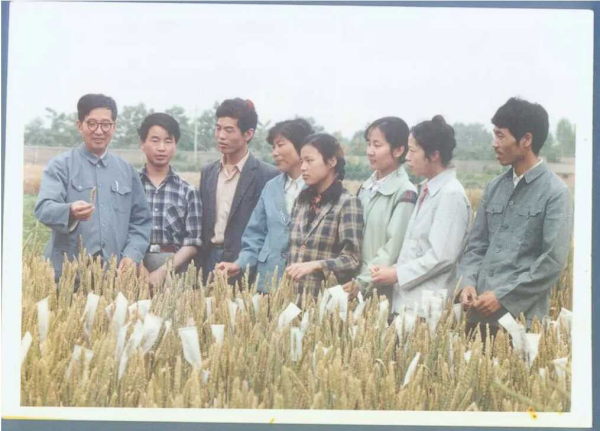 黄A无码片内射无码视频