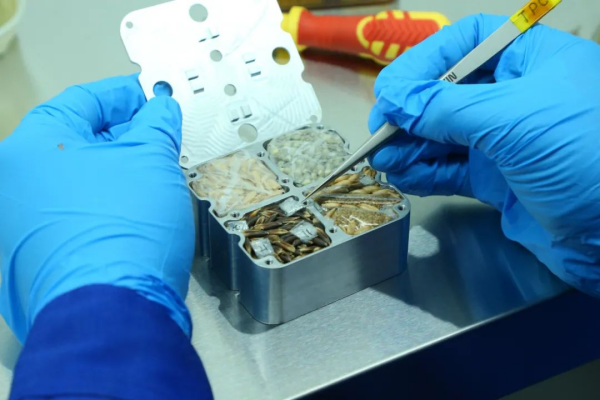 黄A无码片内射无码视频