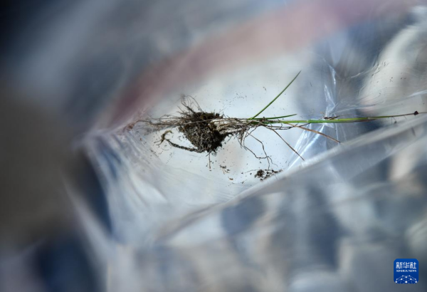 黄A无码片内射无码视频