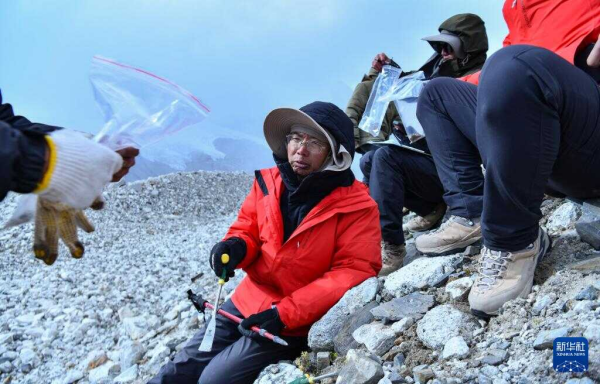 黄A无码片内射无码视频