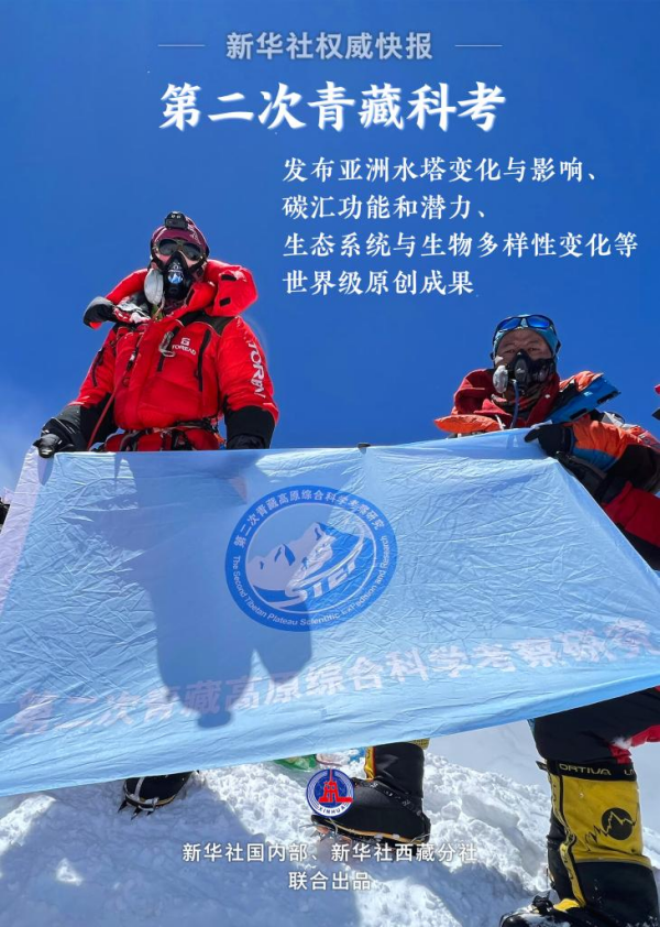 黄A无码片内射无码视频