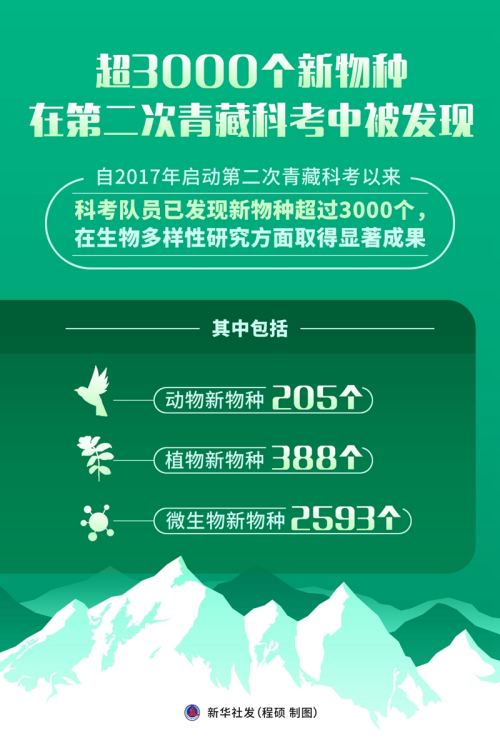 黄A无码片内射无码视频