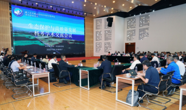 黄A无码片内射无码视频