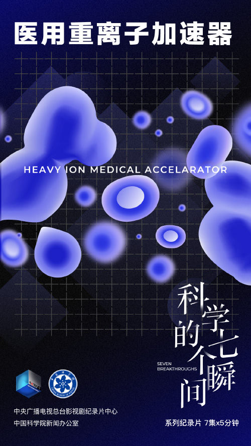 黄A无码片内射无码视频