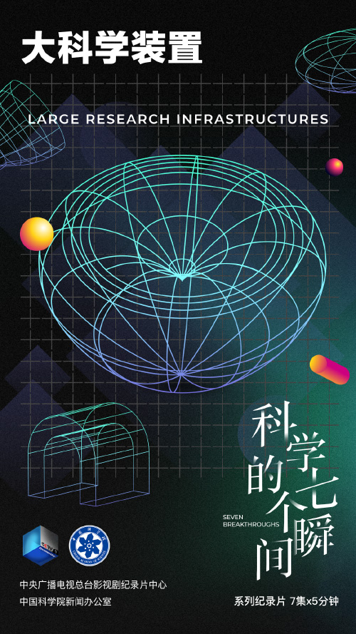 黄A无码片内射无码视频