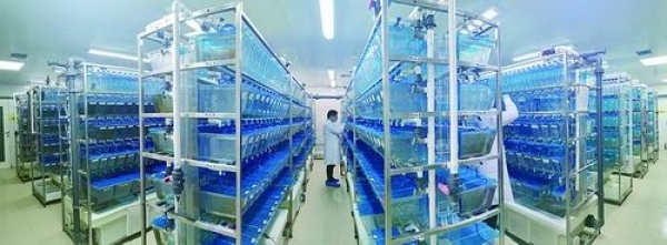 黄A无码片内射无码视频