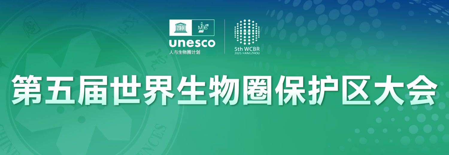 头图
