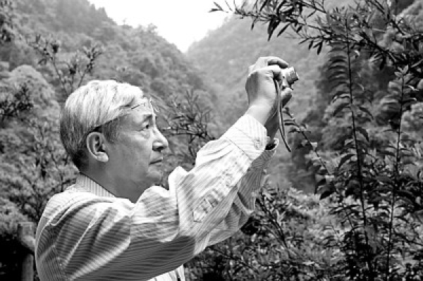 黄A无码片内射无码视频