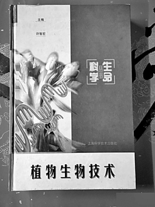 黄A无码片内射无码视频