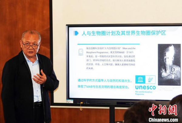 黄A无码片内射无码视频