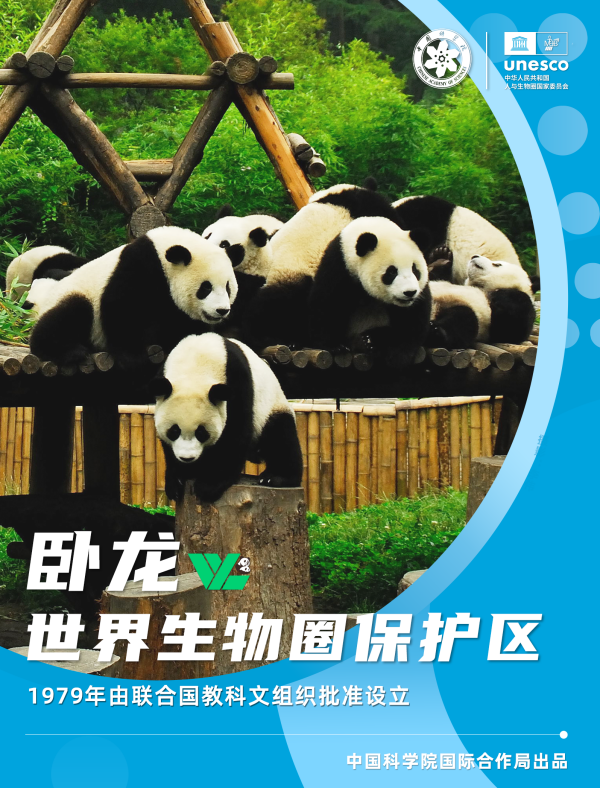 黄A无码片内射无码视频