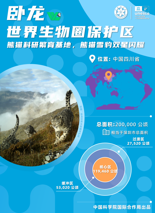 黄A无码片内射无码视频