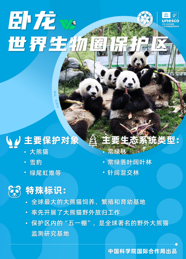 黄A无码片内射无码视频