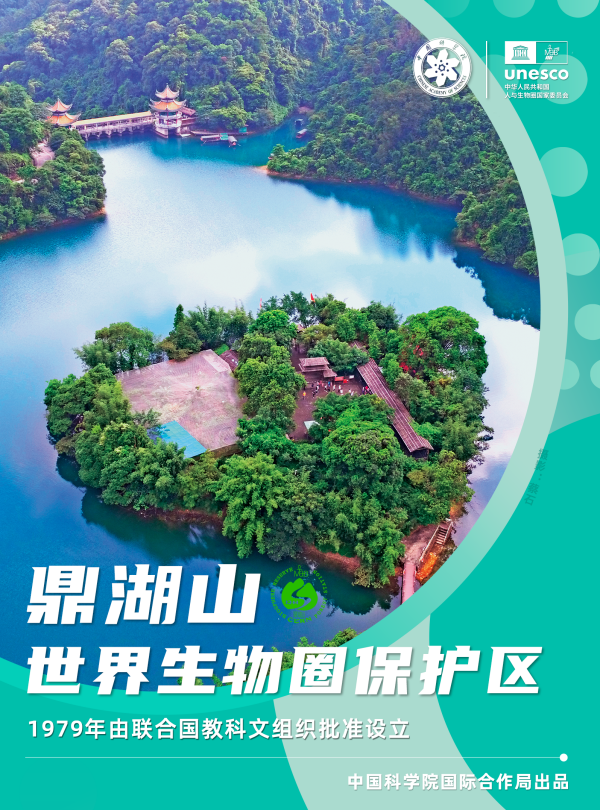 黄A无码片内射无码视频