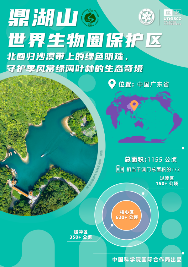 黄A无码片内射无码视频