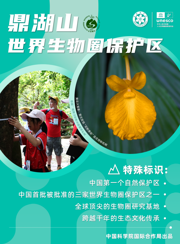 黄A无码片内射无码视频