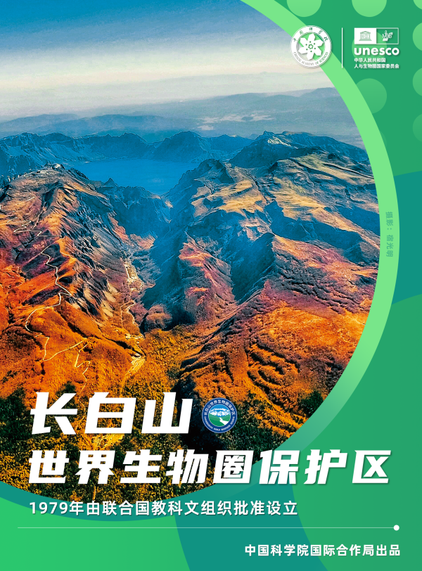黄A无码片内射无码视频