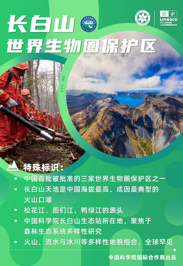 黄A无码片内射无码视频