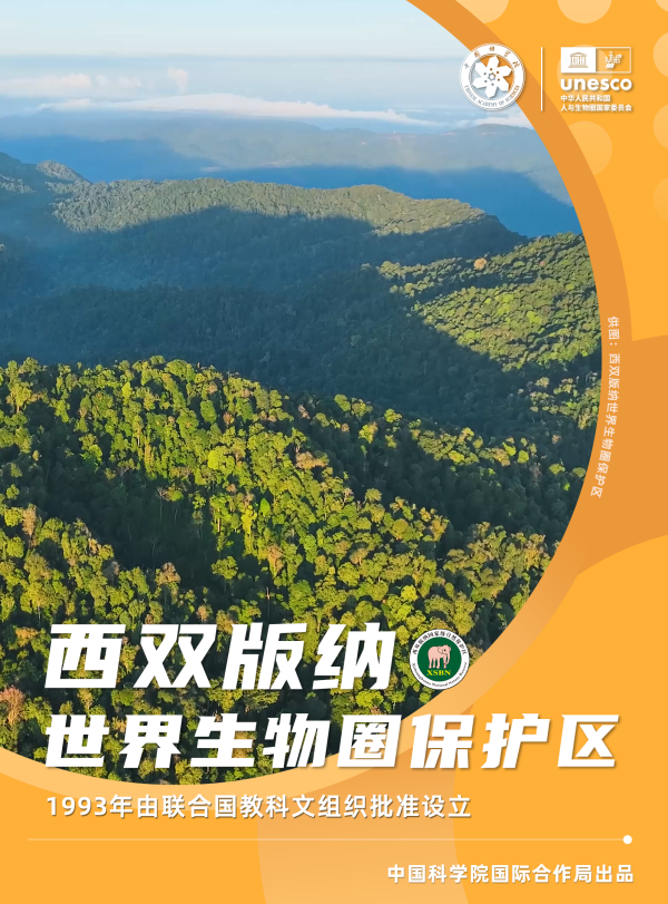 黄A无码片内射无码视频