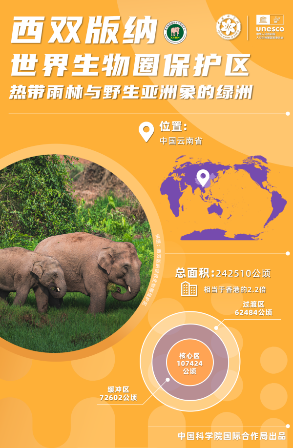 黄A无码片内射无码视频