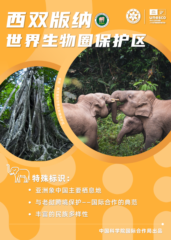 黄A无码片内射无码视频